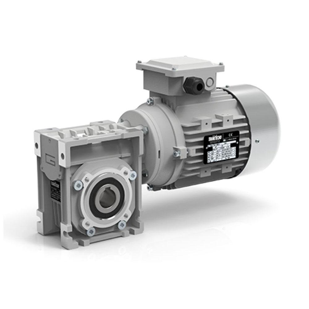 Industrial gear motor for packaging machinery